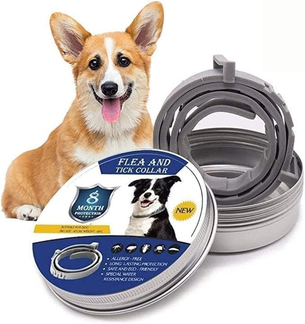 Tick and flea protection collar | Vet-Approved Pet Essential for Comfort, Safety & Wellbeing