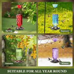 24oz Leak Proof Glass Hummingbird Feeder | Premium Pet Care — Safe, Durable & Trusted by Pet Owners Everywhere
