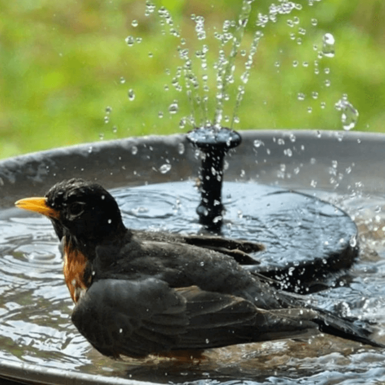 LED Solar Energy Fountain | Built for British Weather — Durable, Attractive Outdoor Design