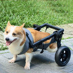 Pet wheelchair