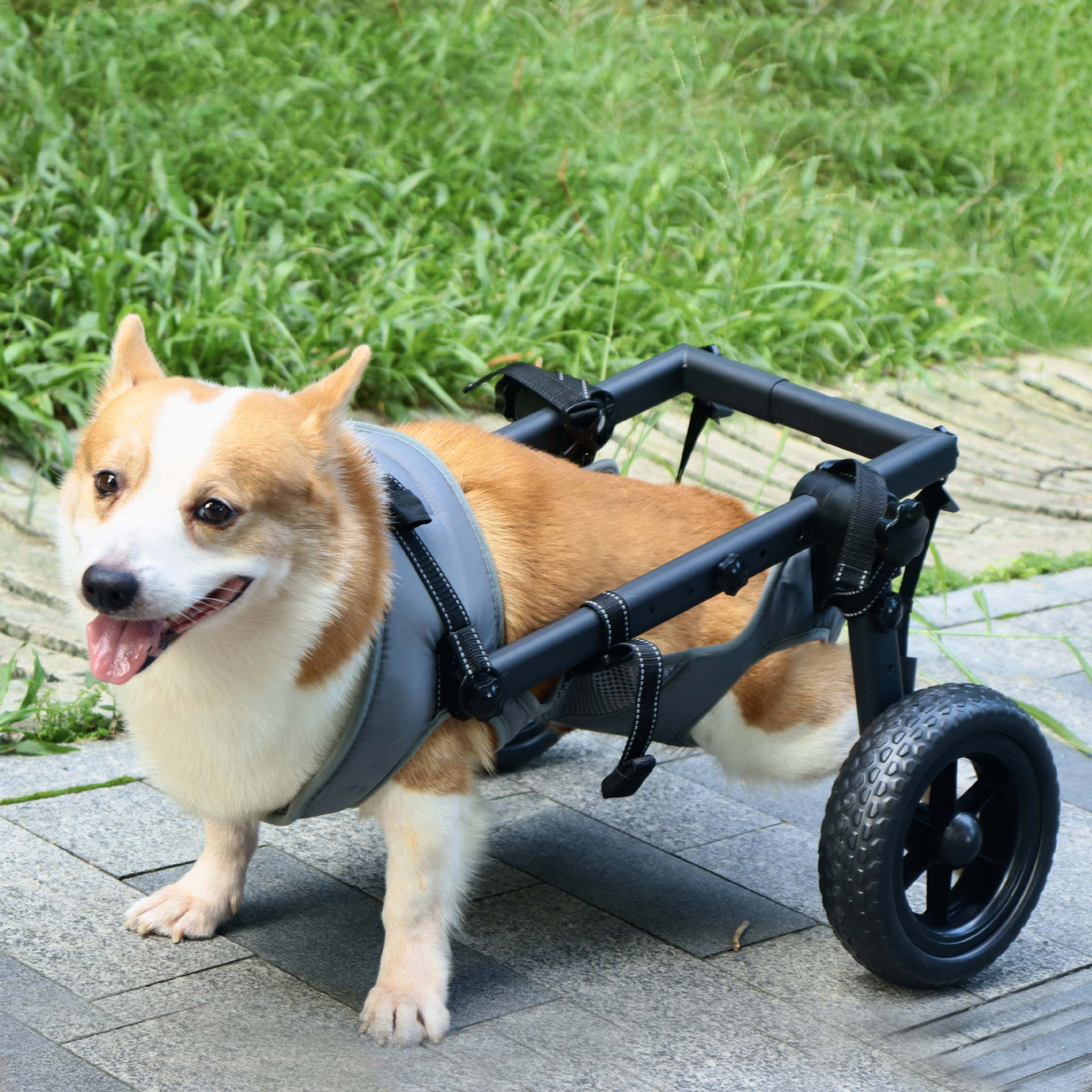 Pet wheelchair