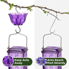 24oz Leak Proof Glass Hummingbird Feeder | Premium Pet Care — Safe, Durable & Trusted by Pet Owners Everywhere