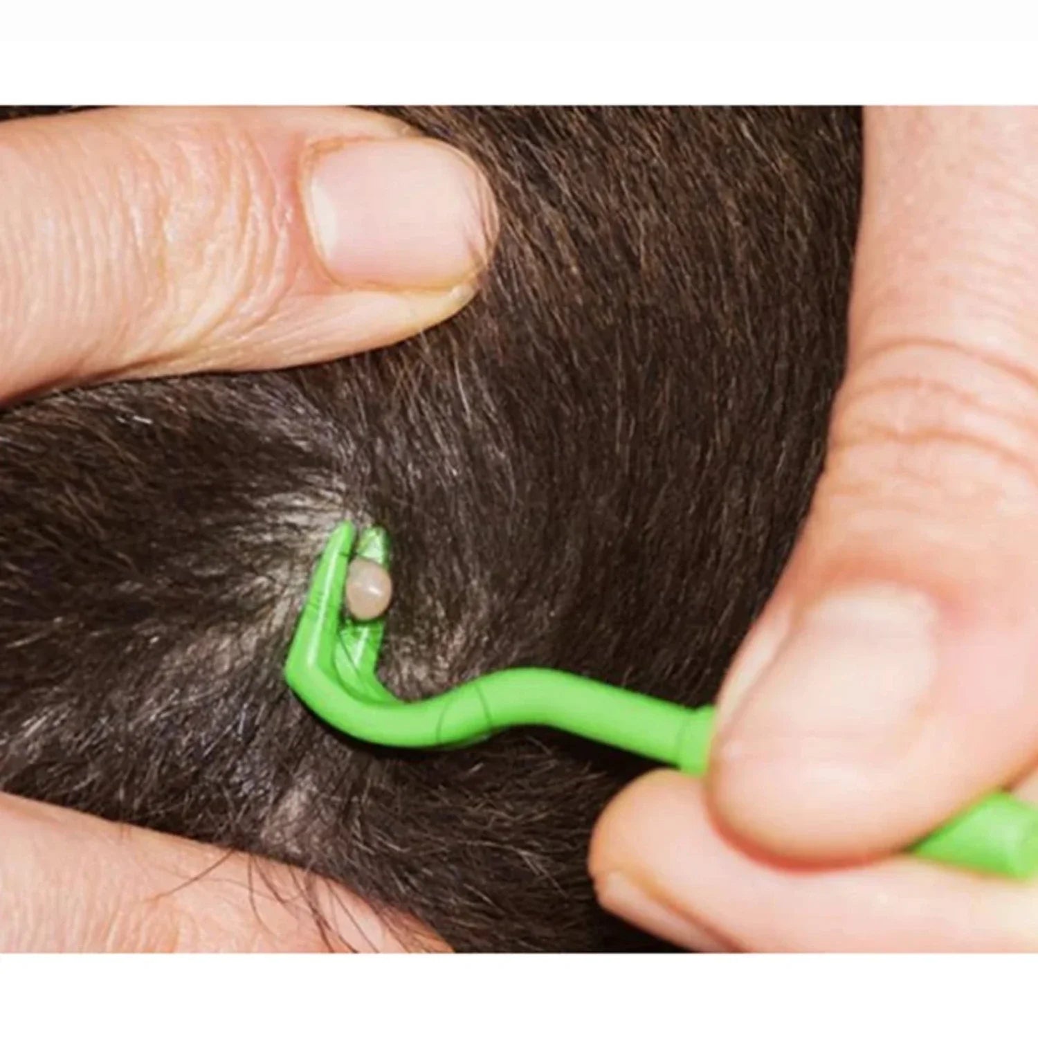 Tick Removal Device for Dogs and Pets | Designed for Happy, Healthy, Well-Loved Pets of Every Breed