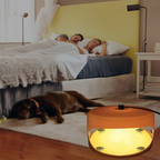 Indoor Bed Bug Trap | Compact, Stylish & Incredibly Useful — An Everyday Home Must-Have