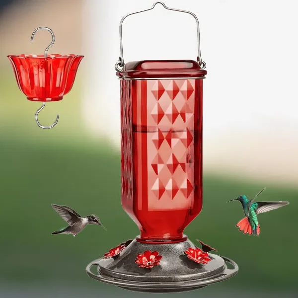 24oz Leak Proof Glass Hummingbird Feeder | Premium Pet Care — Safe, Durable & Trusted by Pet Owners Everywhere