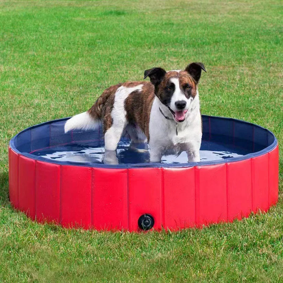 Foldable Dog Pool | Trusted by Pet Owners — Safe, Easy to Use & Built to Last