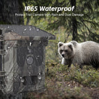 Solar Powered Night Vision Trail Camera | Hardy, Weather-Resistant & Beautifully Designed for Your Outdoor Space