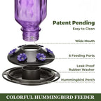 24oz Leak Proof Glass Hummingbird Feeder | Premium Pet Care — Safe, Durable & Trusted by Pet Owners Everywhere