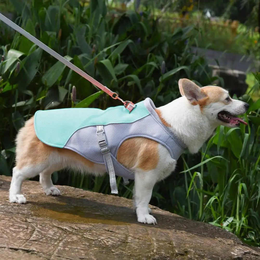 Dog Cooling Vest for Outdoor Activities | Vet-Approved Pet Essential for Comfort, Safety & Wellbeing