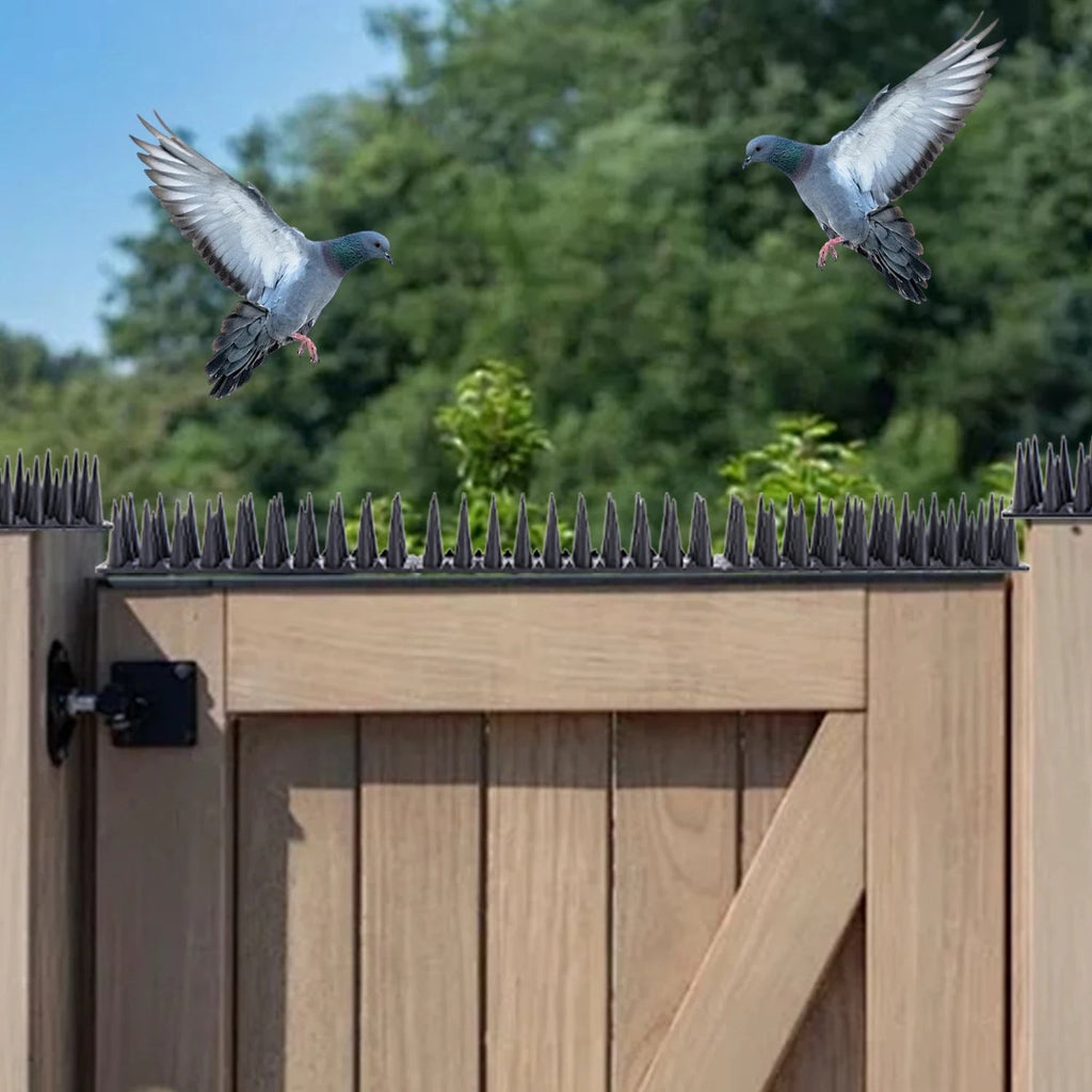 Plastic Bird Repeller Control Spikes | Make Your Garden Beautiful, Functional & the Envy of the Neighbourhood