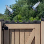 Plastic Bird Repeller Control Spikes | Make Your Garden Beautiful, Functional & the Envy of the Neighbourhood