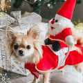 Santa Riding Dog Christmas Costume | Designed for Happy, Healthy, Well-Loved Pets of Every Breed