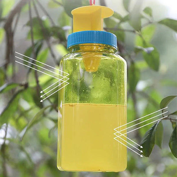 Reusable Fruit Fly Catcher Bottle | Style and Practicality Finally Together — The Modern Home Essential