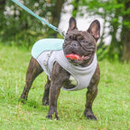 Dog Cooling Vest for Outdoor Activities | Vet-Approved Pet Essential for Comfort, Safety & Wellbeing