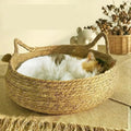 Handmade Woven Cat Bed with Seasonal Pad | Designed for Happy, Healthy, Well-Loved Pets of Every Breed