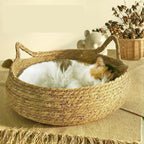 Handmade Woven Cat Bed with Seasonal Pad | Designed for Happy, Healthy, Well-Loved Pets of Every Breed