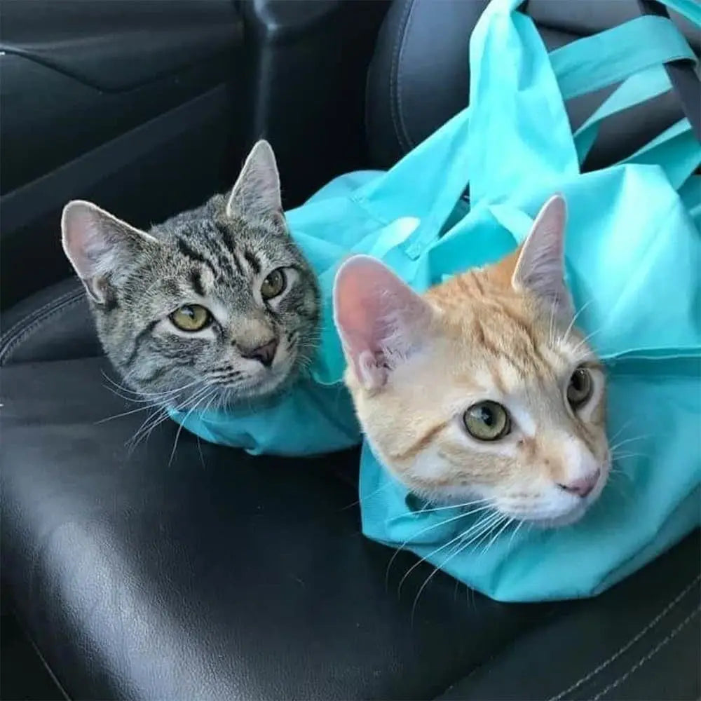 Anti-Scratch Travel Cat Carrier Bag | Breathable Mesh Soft-Sided Airline-Approved Cat Carrier