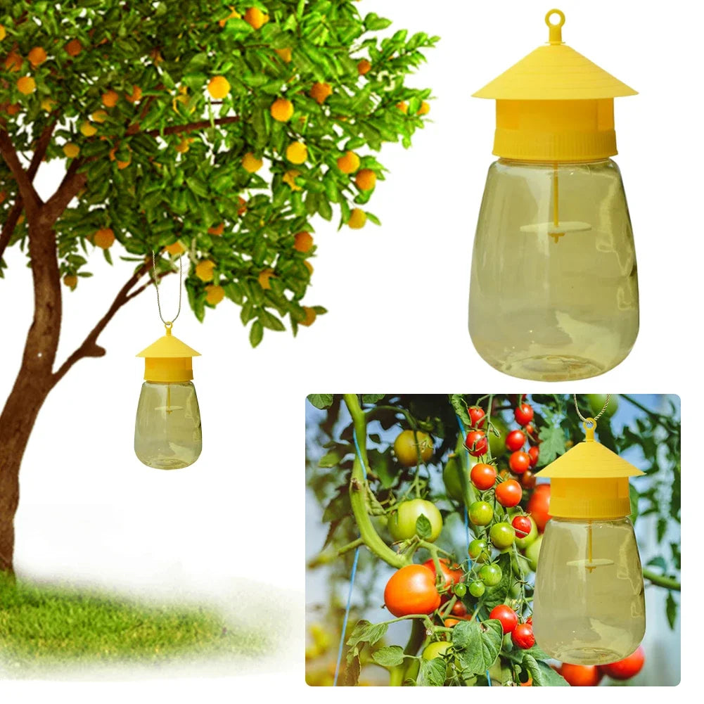 Hanging Fruit Fly Trap | Quality Home Accessory Built to Look Great & Last for Years