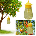 Hanging Fruit Fly Trap | Quality Home Accessory Built to Look Great & Last for Years
