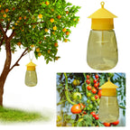 Hanging Fruit Fly Trap | Quality Home Accessory Built to Look Great & Last for Years