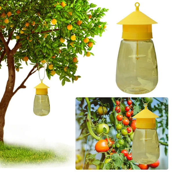 Hanging Fruit Fly Trap | Quality Home Accessory Built to Look Great & Last for Years