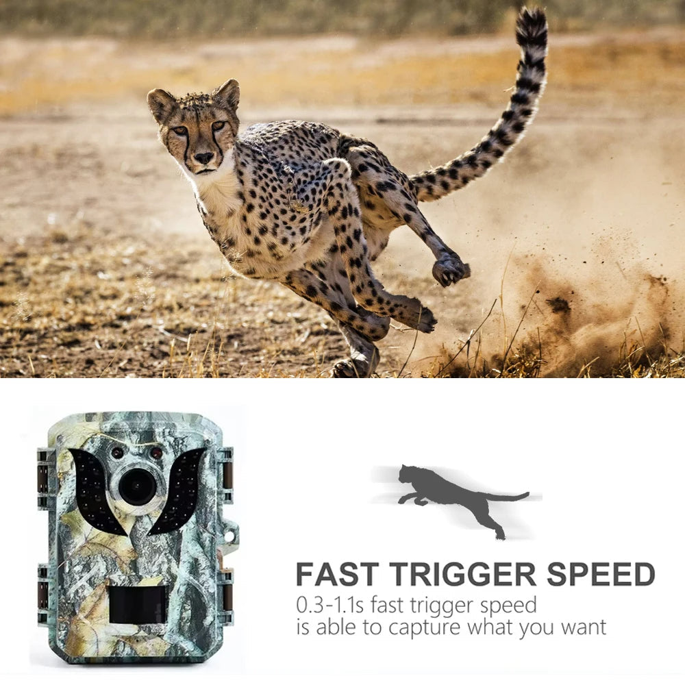 Compact Wildlife Camera with HD Infrared Night Vision | The Tech Upgrade You Didn't Know You Needed — Until You Try It