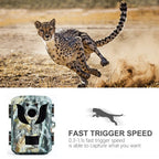 Compact Wildlife Camera with HD Infrared Night Vision | The Tech Upgrade You Didn't Know You Needed — Until You Try It