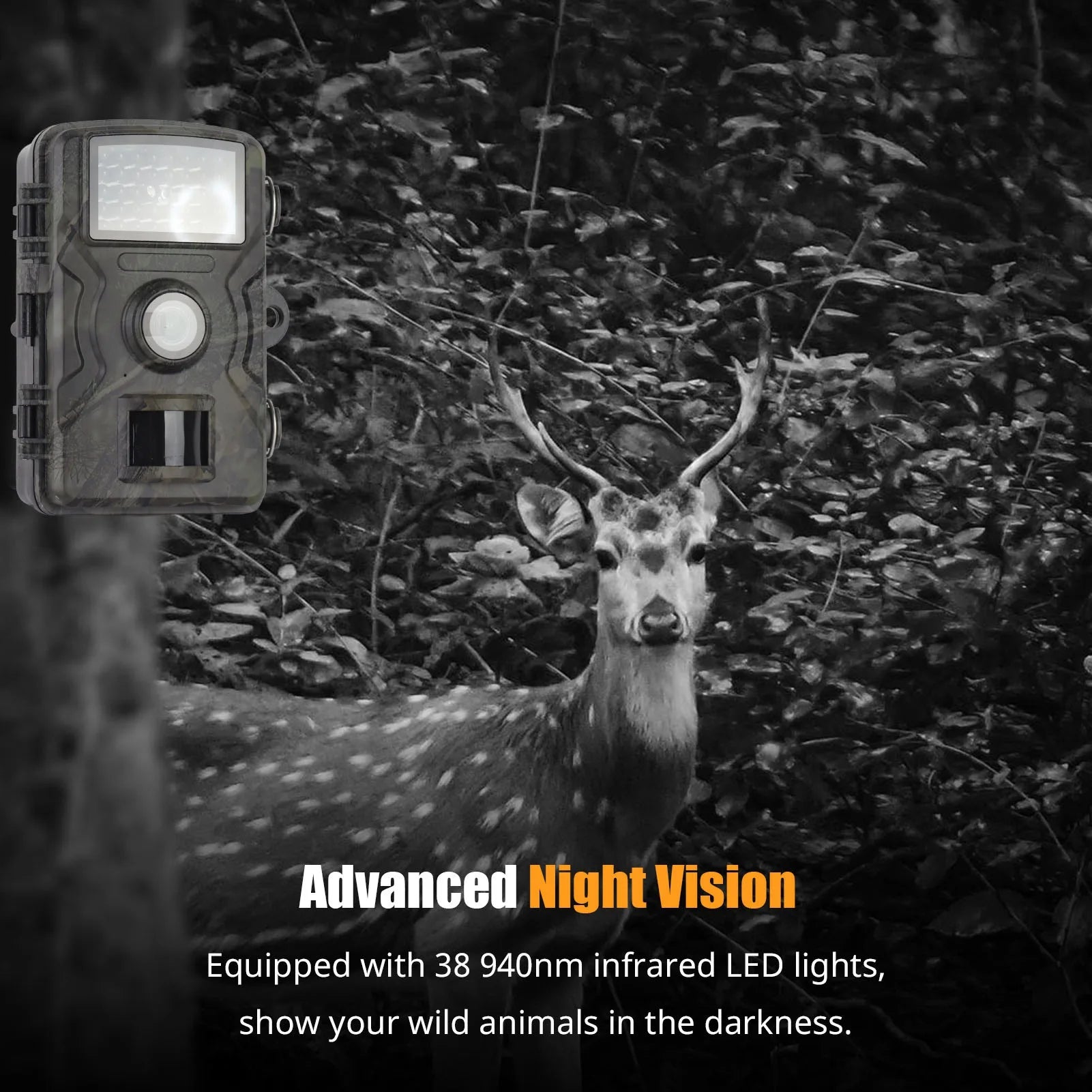 1080P Night Vision Trail Camera | Compact, Powerful & Ready to Go — Premium Tech at Outstanding Value