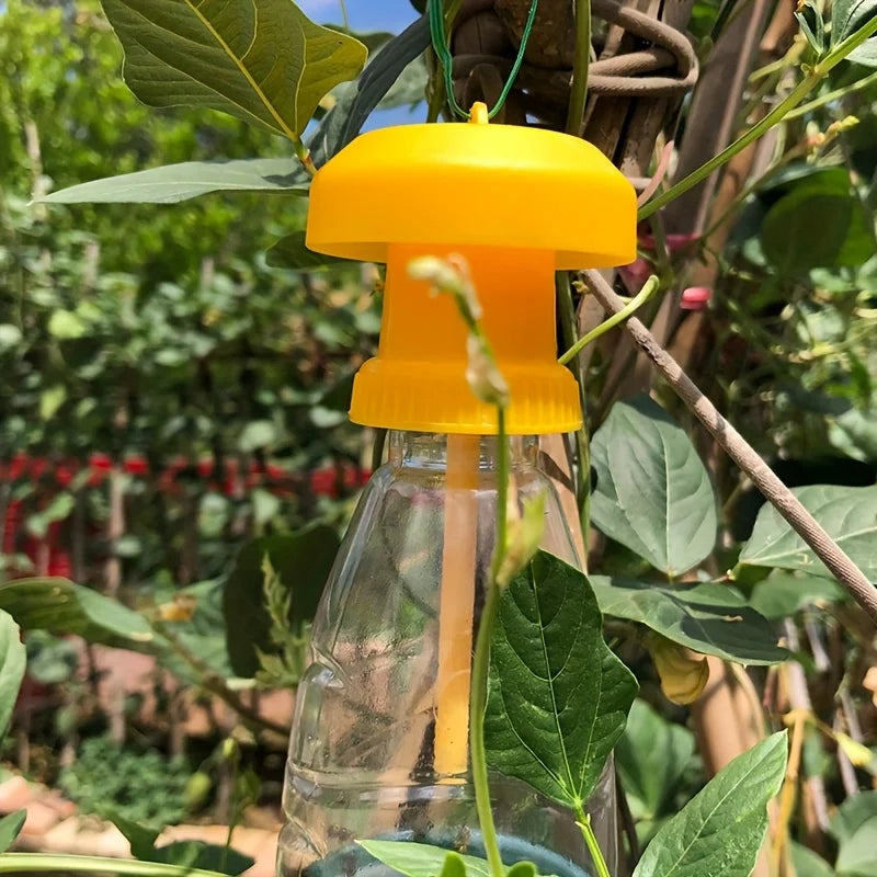 Fruit Fly Trap with Hanging Cover | Upgrade Your Home with This Thoughtfully Designed Everyday Essential