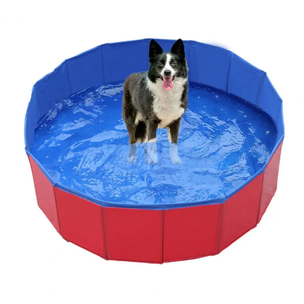 Foldable Dog Pool | Trusted by Pet Owners — Safe, Easy to Use & Built to Last