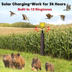 Solar Bird Repeller with Sound and Light | Make Your Garden Beautiful, Functional & the Envy of the Neighbourhood