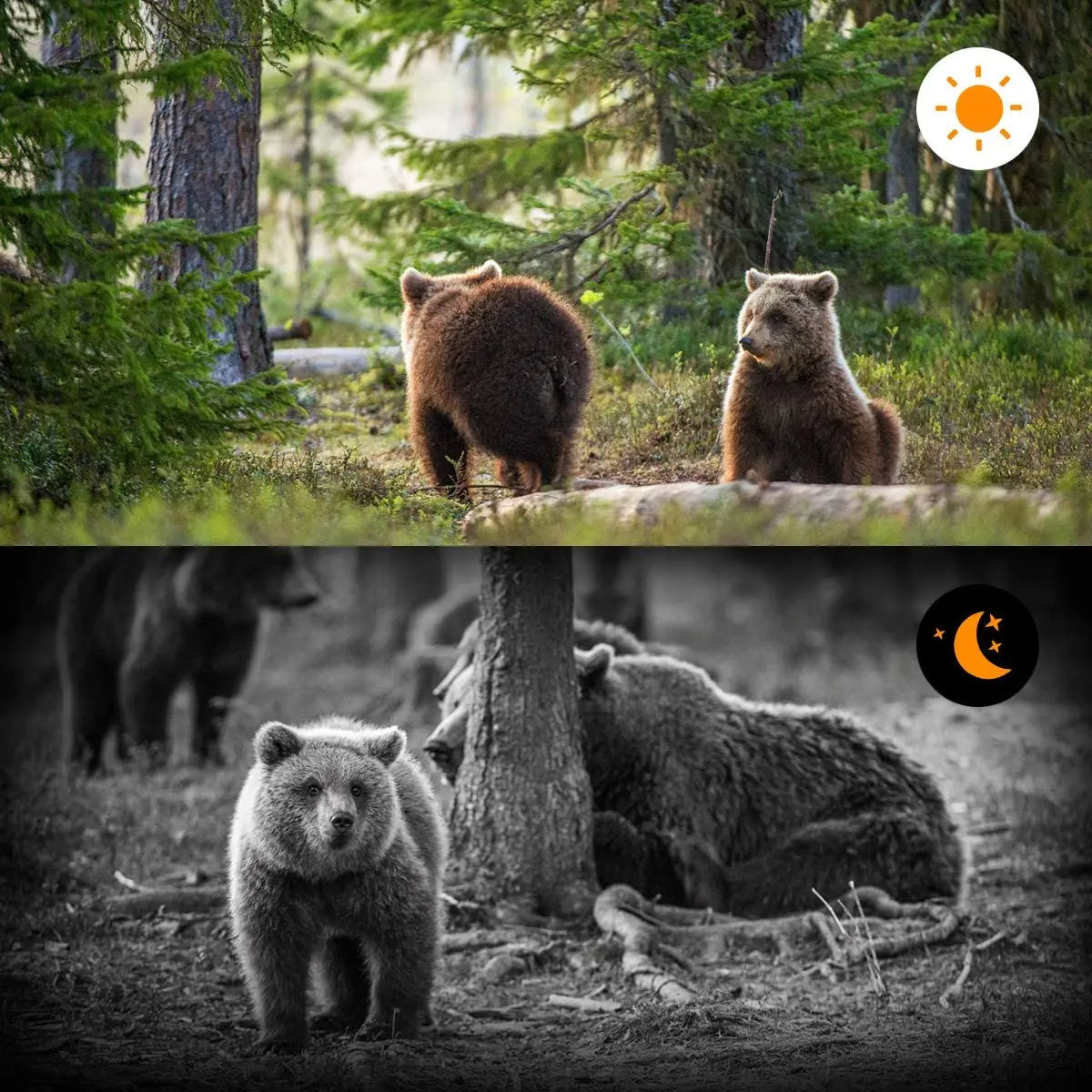 Advanced Night Vision Trail Camera | Smart, Reliable Technology for Easier, More Connected Everyday Living