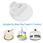 Sticky Bed Bug Trap Refill Glue Boards | Style and Practicality Finally Together — The Modern Home Essential