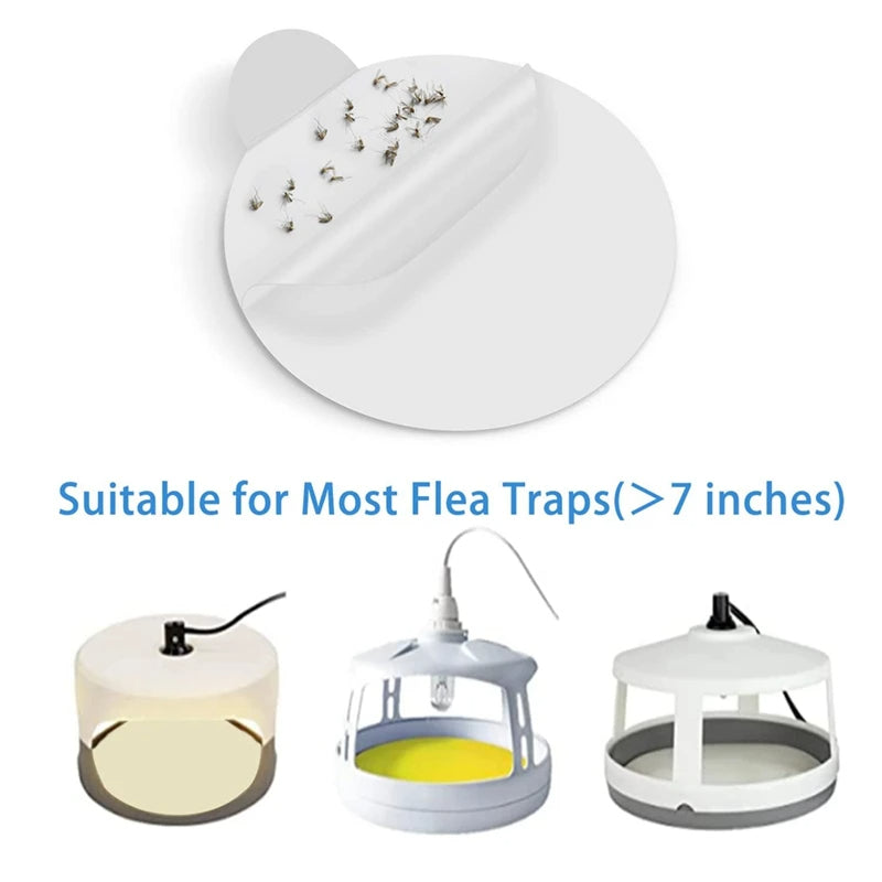 Sticky Bed Bug Trap Refill Glue Boards | Style and Practicality Finally Together — The Modern Home Essential