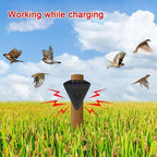 Solar Outdoor Bird Repeller | Easy-Care Garden Essential That Transforms Any Outdoor Space
