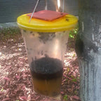 Eco-Friendly Disposable Fly Trap Outdoor Bag | Make Your Garden Beautiful, Functional & the Envy of the Neighbourhood