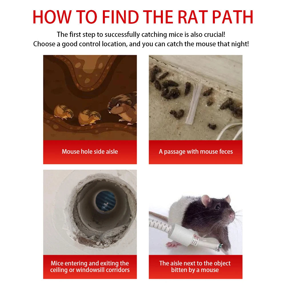 Sliding Door Design Reusable Mouse Trap Cage | Practical, Beautiful & Built to Last — The Smart Choice for Any Home