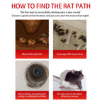 Sliding Door Design Reusable Mouse Trap Cage | Practical, Beautiful & Built to Last — The Smart Choice for Any Home