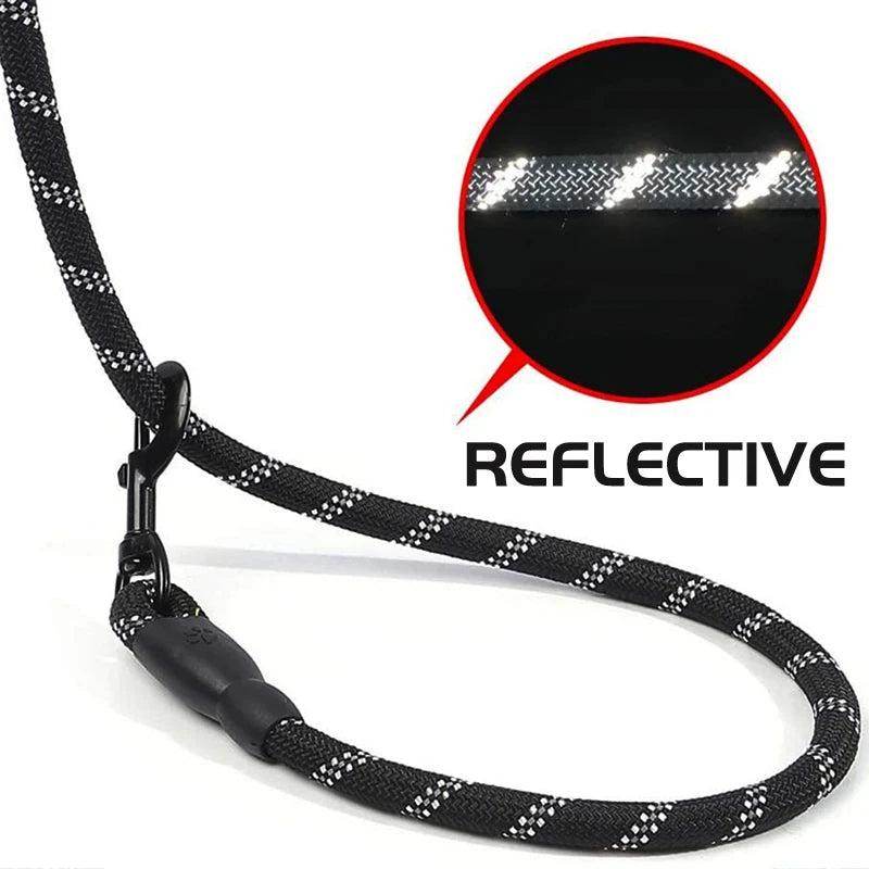 Reflective Dog Leash with Padded Handle | Designed for Happy, Healthy, Well-Loved Pets of Every Breed