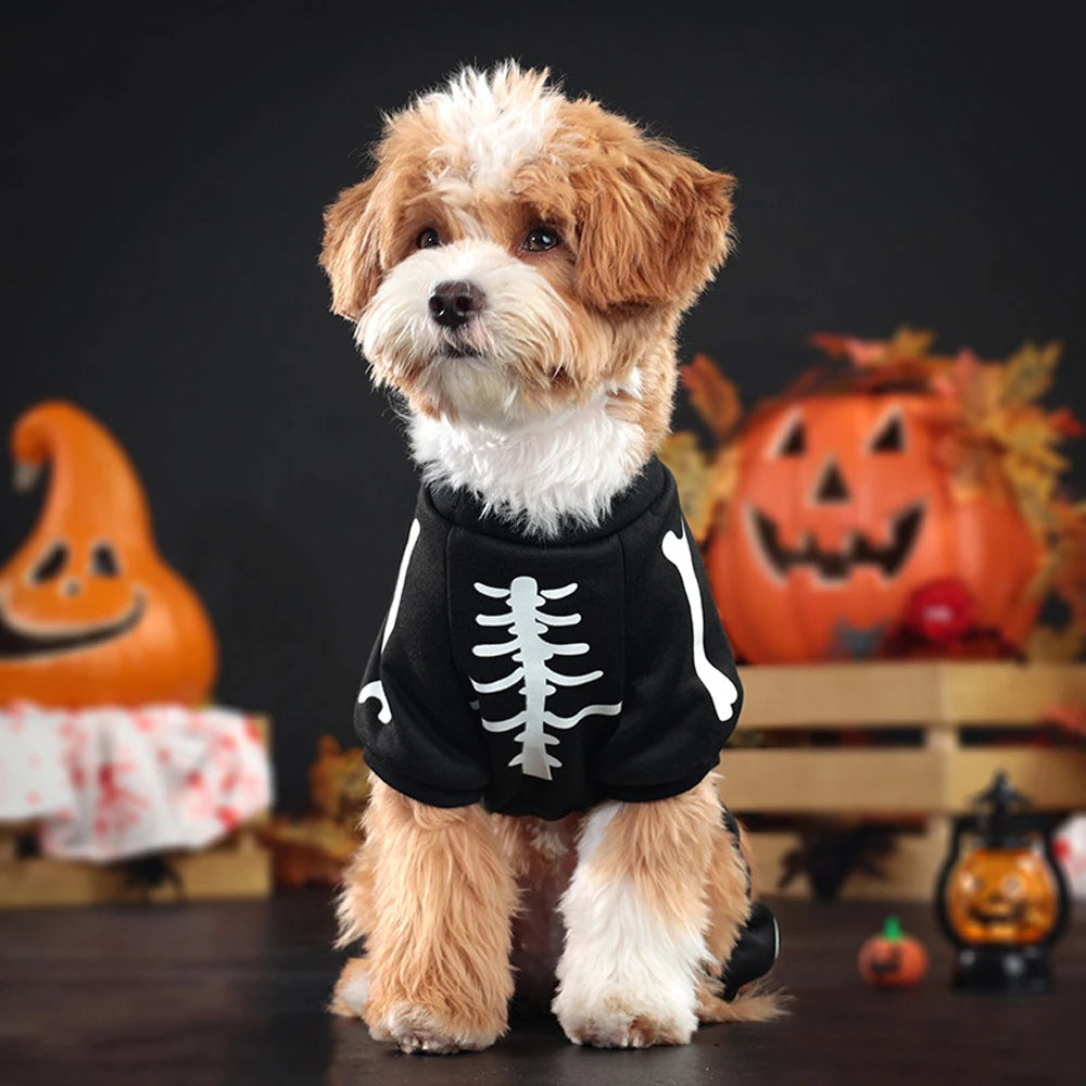 Skeleton Jumpsuit Dog Halloween Costume | Vet-Approved Pet Essential for Comfort, Safety & Wellbeing