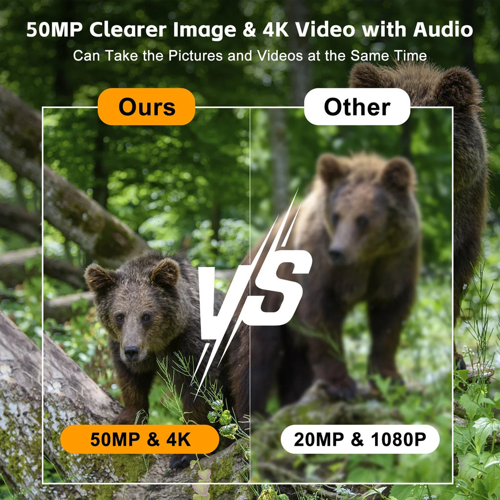 Solar Powered Night Vision Trail Camera | Hardy, Weather-Resistant & Beautifully Designed for Your Outdoor Space
