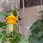 Hanging Fruit Fly Trap | Quality Home Accessory Built to Look Great & Last for Years