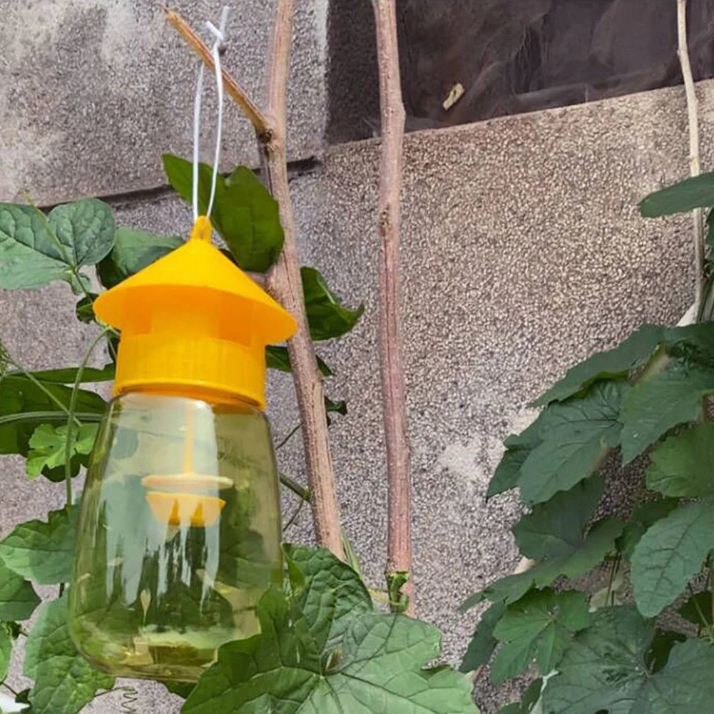 Hanging Fruit Fly Trap | Quality Home Accessory Built to Look Great & Last for Years