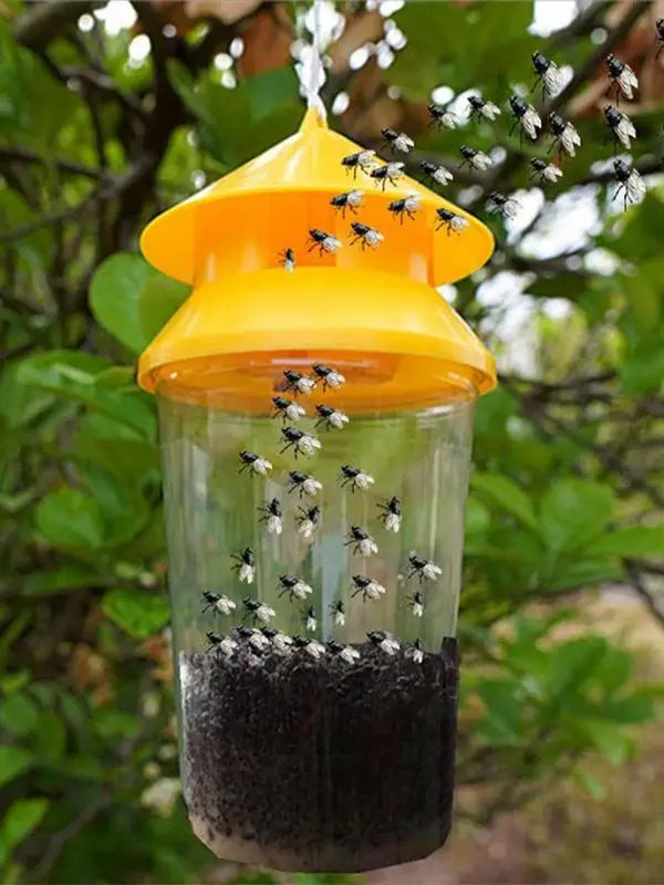 Reusable Outdoor Hanging Fly Trap | Make Your Garden Beautiful, Functional & the Envy of the Neighbourhood