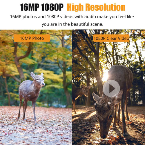 1080P Night Vision Trail Camera | Compact, Powerful & Ready to Go — Premium Tech at Outstanding Value