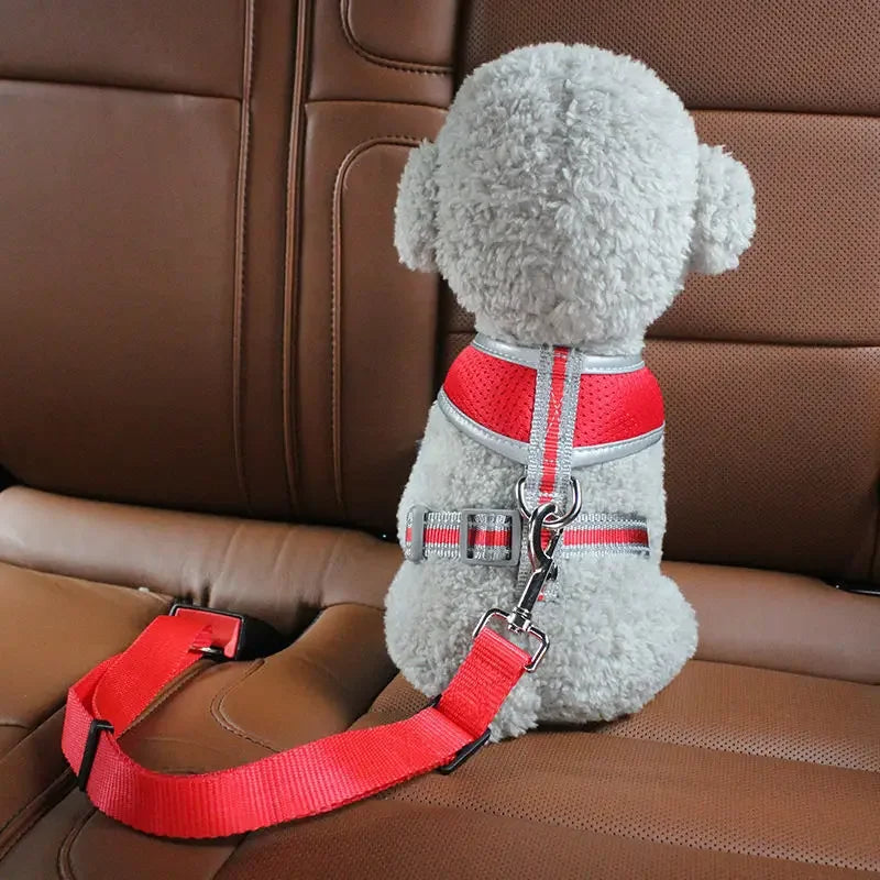 Adjustable Dog Seat Belt | Vet-Approved Pet Essential for Comfort, Safety & Wellbeing