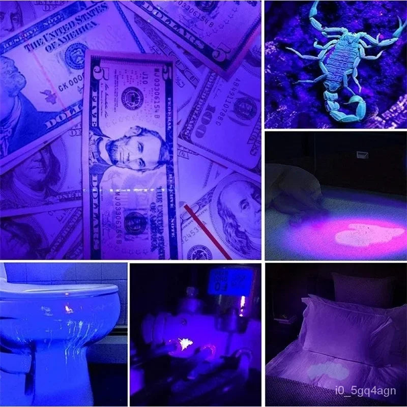UV Flashlight for Bed Bug Detection and Stain Finder | Engineered for the Great Outdoors — Lightweight, Tough & Dependable