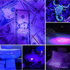 UV Flashlight for Bed Bug Detection and Stain Finder | Engineered for the Great Outdoors — Lightweight, Tough & Dependable