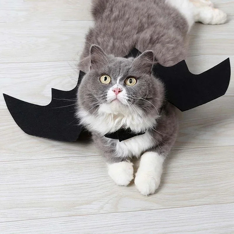 Bat Wing Halloween Costume for Pets | Bring the Magic of the Season into Your Home with This Beautiful Piece
