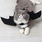 Bat Wing Halloween Costume for Pets | Bring the Magic of the Season into Your Home with This Beautiful Piece